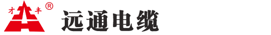 江蘇遠(yuǎn)通電纜有限公司